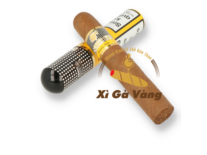 Robusto Tubos chinh phục thế giới với hương vị đặc trưng